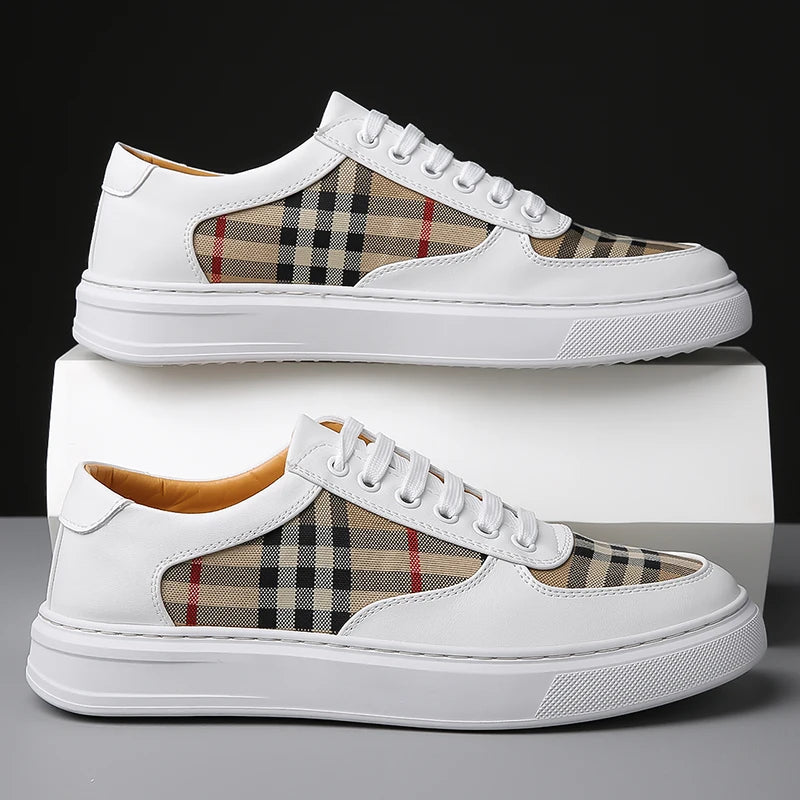 Ashton Prestige Plaid Sneaker