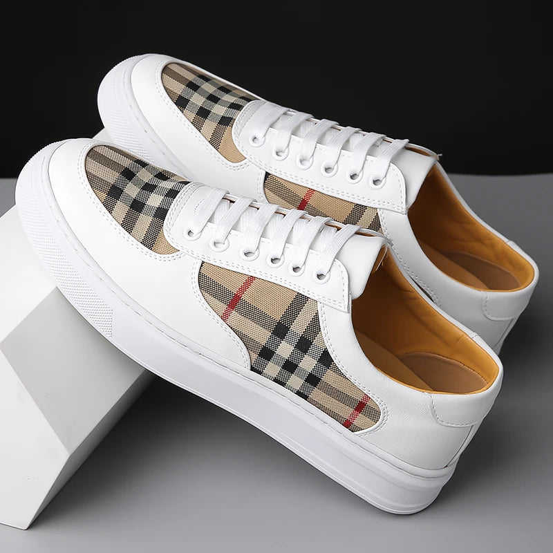 Ashton Prestige Plaid Sneaker